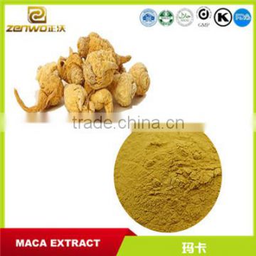 Pure maca extract powder