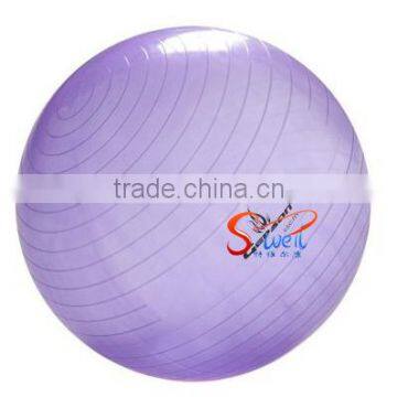 Strong Transparent Gym Ball