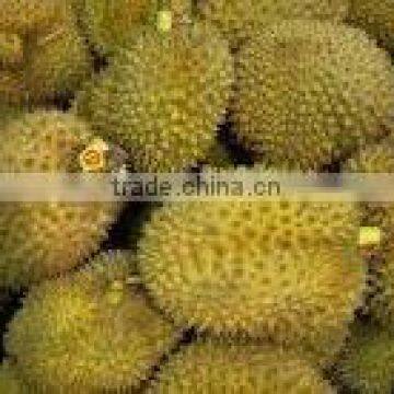 BEST PRICE VIETNAM FROZEN DURIAN photo-5