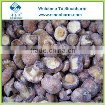 Grade A 20-40mm Whole Frozen Suillus Granulatus