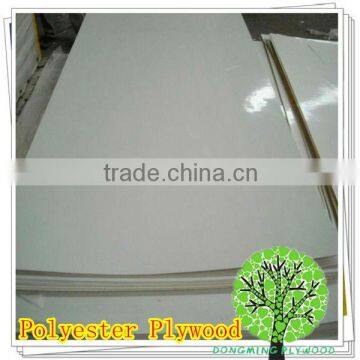 Waterproof Face Polyester Panels for Wall