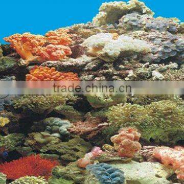 waterproof plastic aquarium background picture J54