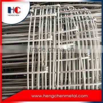 Grassland welded wire mesh,hot dipped wire mesh,grassland wire mesh