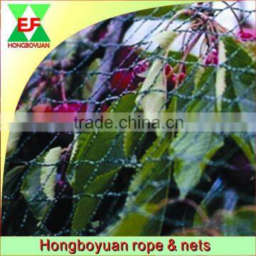 anti Bird protection PE agricultural netting bird