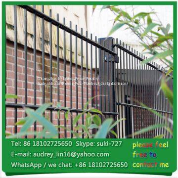 Decorative Garden Special Double Wire Mesh Fencing For Sale(Professional Factory) photo-2