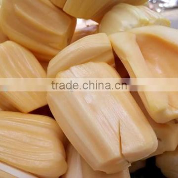 FRESH JACKFRUIT FROM VIETNAM