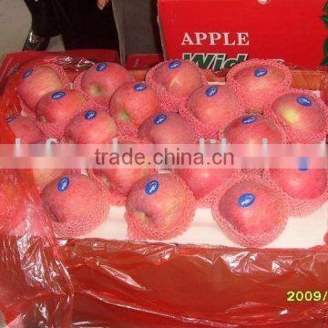 chinese fresh fuji apples on promotion