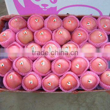 High Quality Crisp & Juicy Fresh Fuji Apple of Year 2015 Crop