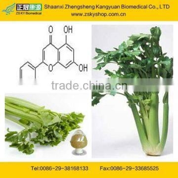 Natural Celery Extract from GMP Factory with High Quality