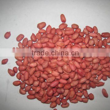 Chinese red skin peanut kernel