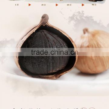 hot selling good function Single Clove Black Garlic