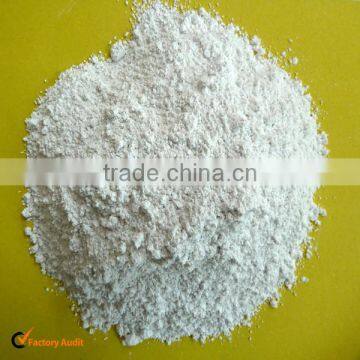 Diatomite Powder All Grades photo-2