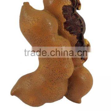 Tamarind FRUIT MAGNET RESIN 3D FRIDGE MAGNET SOUVENIR photo-2