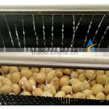 Ginger Processing Machine Industrial Ginger Washing Peeling Machine photo-3