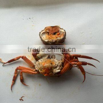 Reliable Commercial Fish Dehydrator Machine photo-2