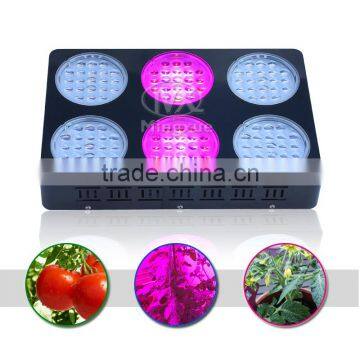 400W High PPFD Customized Spectrum,Grow/Bloom Led Grow Light