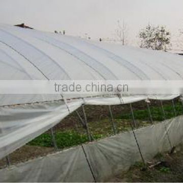 Insect screen for greenhouse