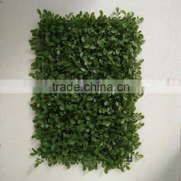 Wholesale Artificial Green Plant Carpet Fake Grass Carpet photo-6