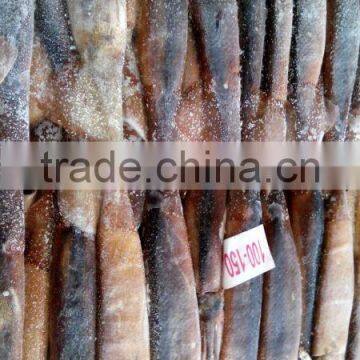 Frozen Illex Argentinus Squid Price photo-2