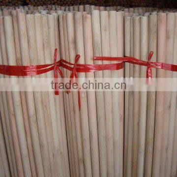 Natural wooden mop handle with italian screw