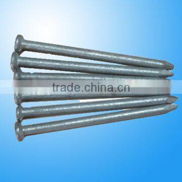 Hot-dipped galvanized common wire nail from manufacturer