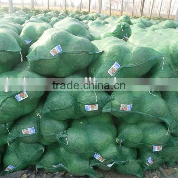 Green Fresh cabbage mesh sacks, packing Chinese cabbages bags