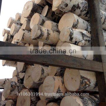 White Birch Logs