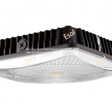 Led canopy light