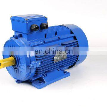 2017 2 Motor Fat Tire Ebike photo-3