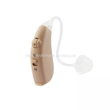 BTE /RIC Rechargeable Hearing Aid with 2 Channels