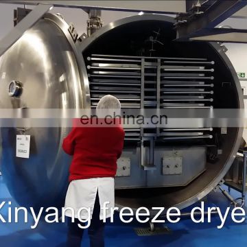 Freeze dried food processing machine freeze drying equipment for honey lemon slices