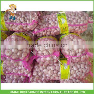 Chinese Cold Storage Garlic 10Kg/Bag