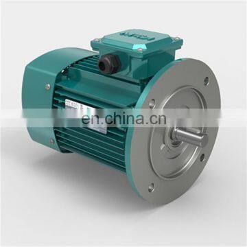 YE2 Series High Speed Electric Motor Three Phase Induction Motor for Industry Machinery Asynchronous Motor photo-3
