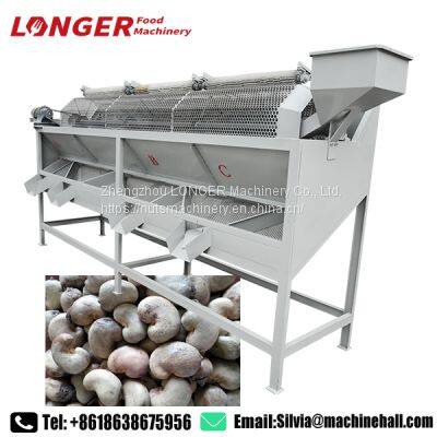 Raw Cashew Nut Grading Machine Grading Machine for Cashew