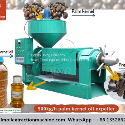 Palm kernel oil pressing machine