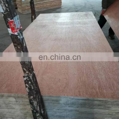 Bintangor/ Okoume Plywood 1220*2440*18mm Commercial plywood Exterior plywoo