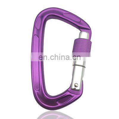 JRSGS Amazon Hot Selling Wholesale D Shape Lightweight Aluminum Climbing Carabiner Clip with Screw Lock Customized Logo S7101B