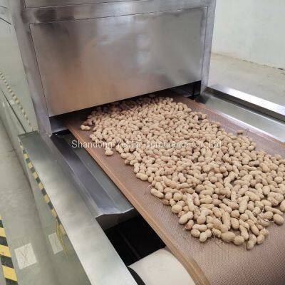 High Efficiency Tunnel Belt Type Electric Peanut Roaster