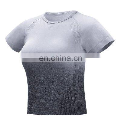 Wholesale Women Seamless Gradient Crop Top Fitness Yoga Top Sports Short Sleeve Yoga Tops photo-3