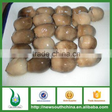 Canned Food Canned Straw Mushrooms For Food Distributors