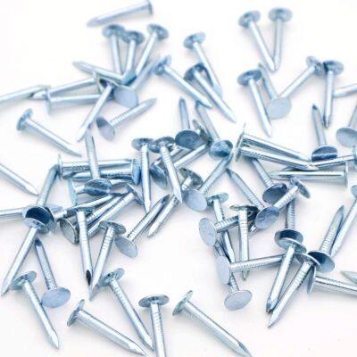 China Factory Flat Head Roofing Nails 1kg Box With Warranty and OEM Support photo-2
