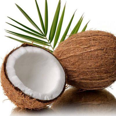 Green and Mature Coconut Water Extraction Plant Coconut Water Processing Machinery