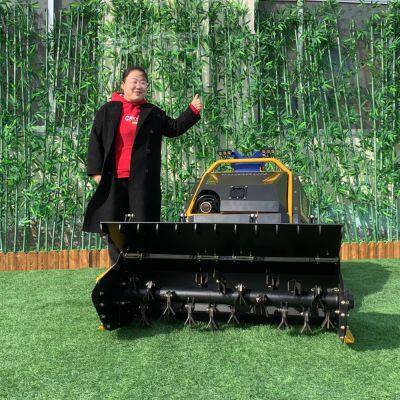 Vigorun MTSK1000 Robot Crawler Mower Fail-Safe Slope Braking RC Sprayer and Mower From China Landscaping Equipment