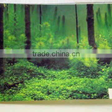 Beautiful Different Tapes of Comic Book Printing Paper photo-2