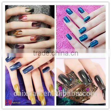 V.chlo Wholesale Soak off Colored Gel Polish Cat Eye 3D Magnet Nail Gel photo-5