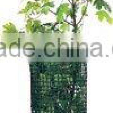 Plastic garden square mesh
