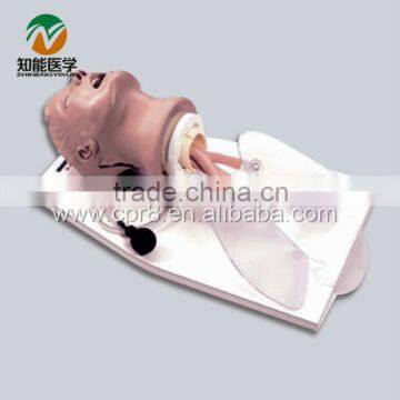 Airway training Model,Trachea intubation Training Model