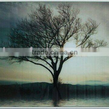 Tree glass photo printed pictures wall decor home prints