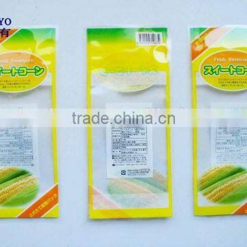 Cooler Bag for Frozen Food photo-5