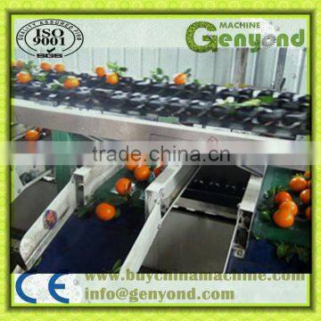 Automatic fruit sorting machine sorting by weight